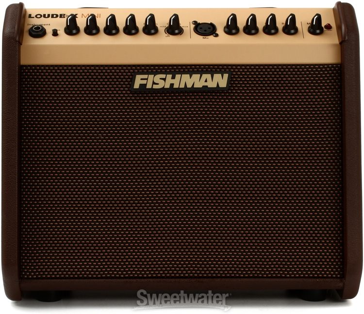 sweetwater fishman loudbox mini