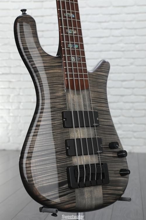 spector ns5xl