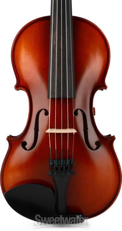 RV-5e 5-string Acoustic-electric Violin Reviews | Sweetwater