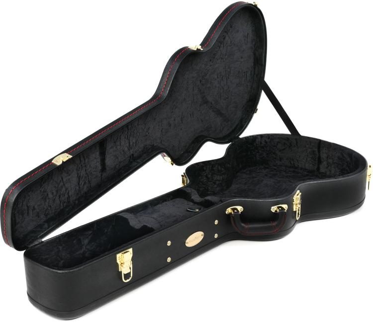 breedlove guitar case