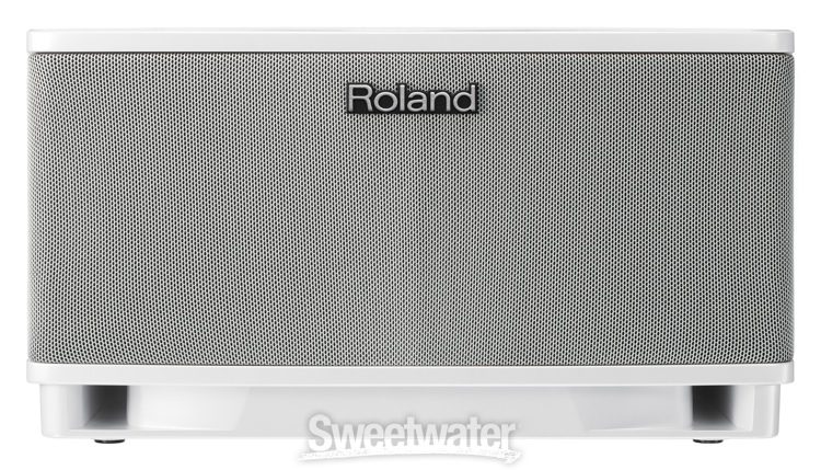 Roland CUBE Lite Monitor | Sweetwater