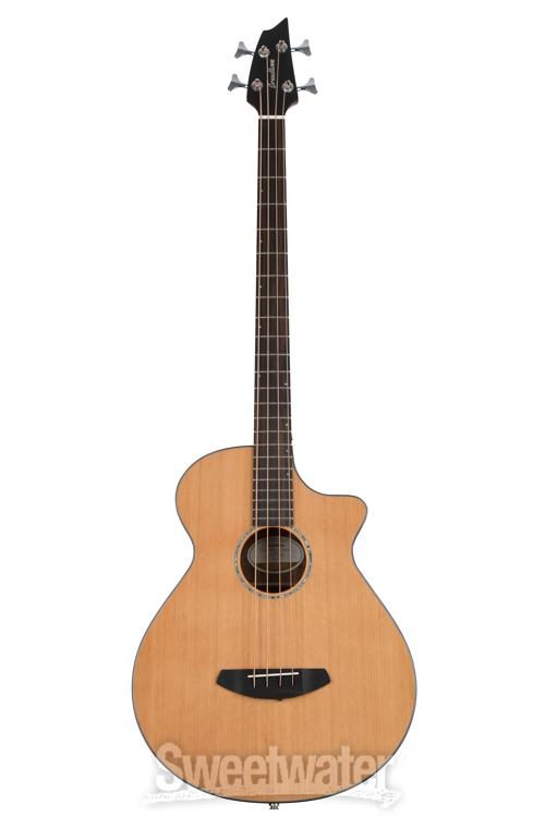 breedlove solo bass