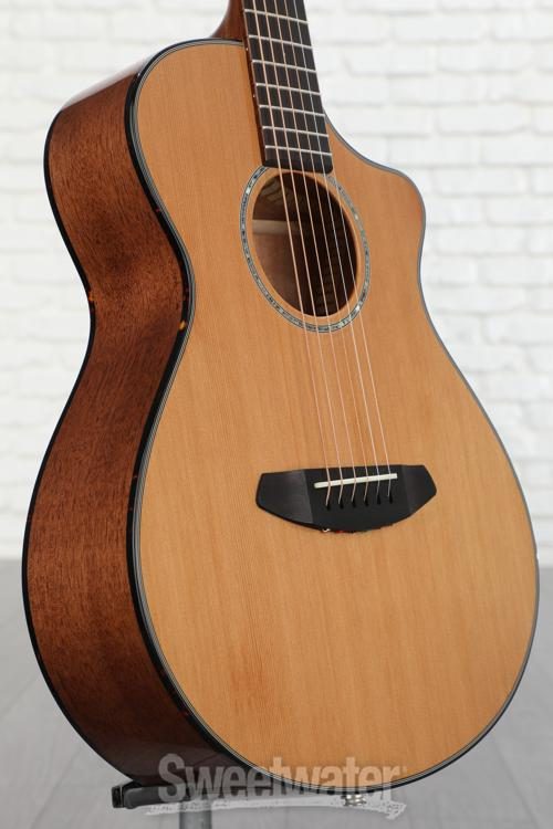 breedlove pursuit companion