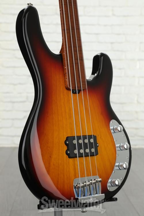 ernie ball fretless