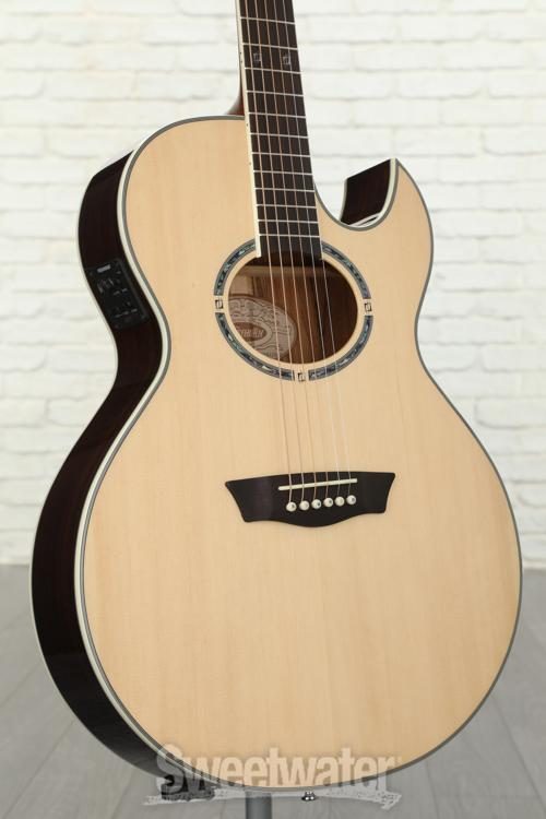 washburn ea20s