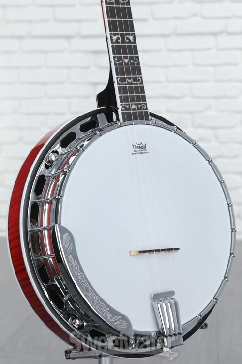 washburn banjo serial numbers washburn banjo serial numbers