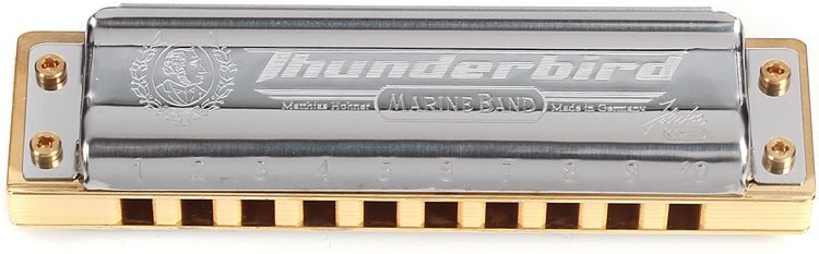 Hohner thunderbird deals low c