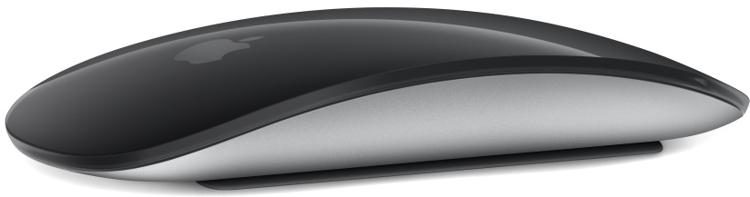 zelf Slapen mobiel Apple Magic Mouse with USB-C - Black | Sweetwater