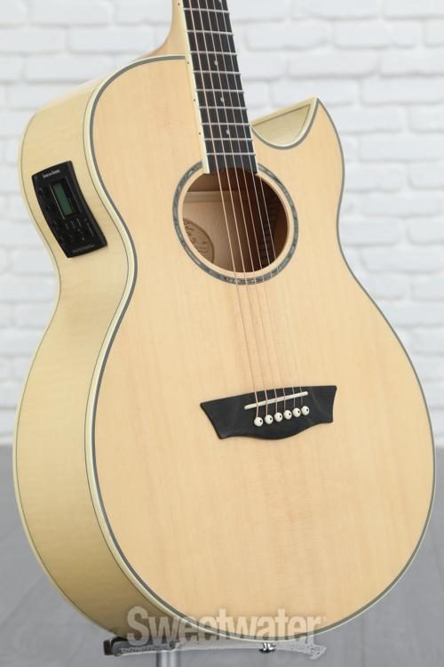 washburn festival ea20