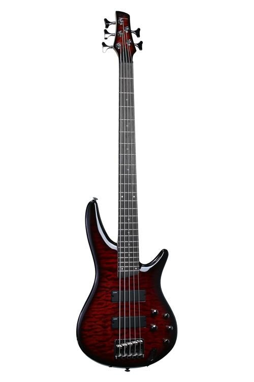 ibanez sr 405 qm