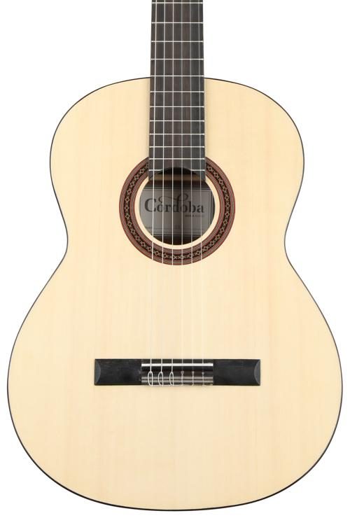 sweetwater nylon string guitars