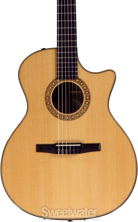 taylor ns74ce