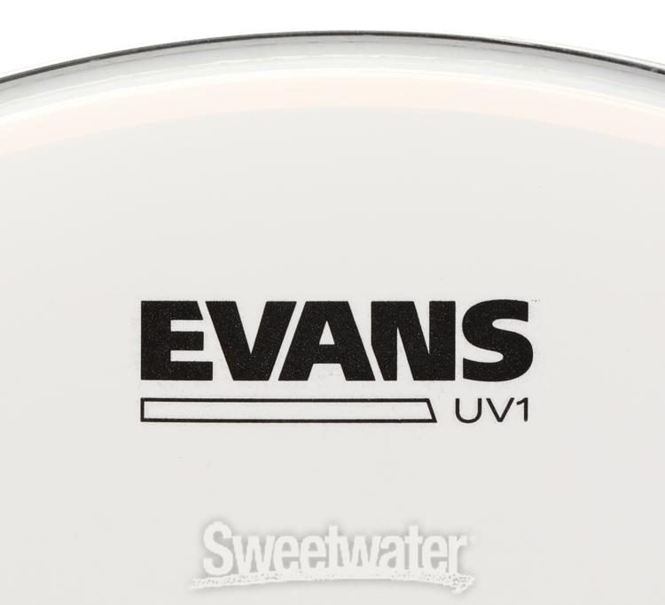 16 Inch Evans UV1 Coated Drum Head