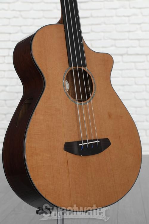 breedlove solo jumbo fretless acoustic bass