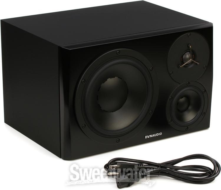 dynaudio sweetwater