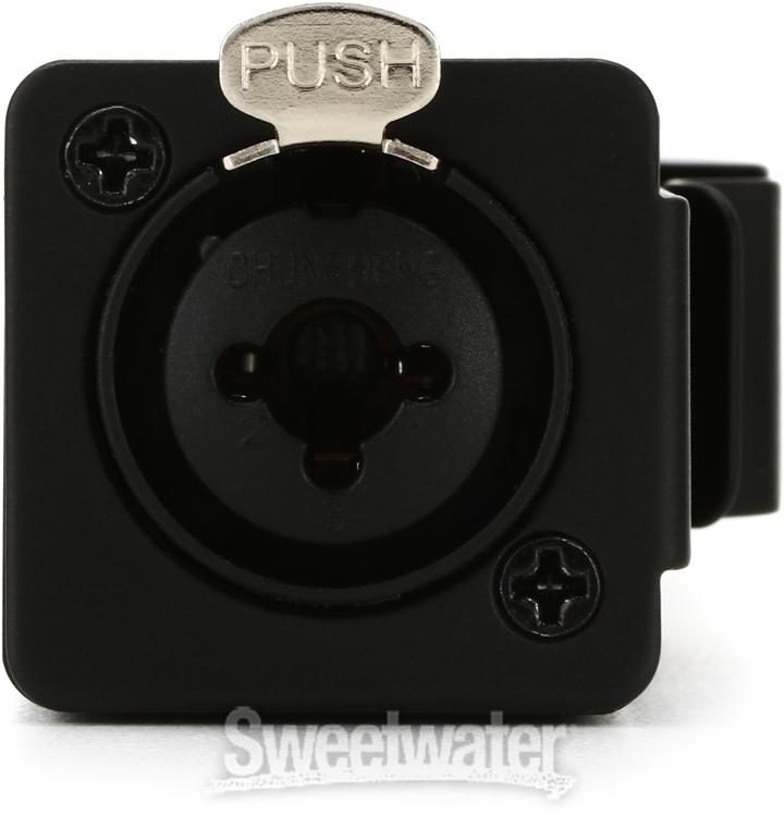 p2 in ear monitor