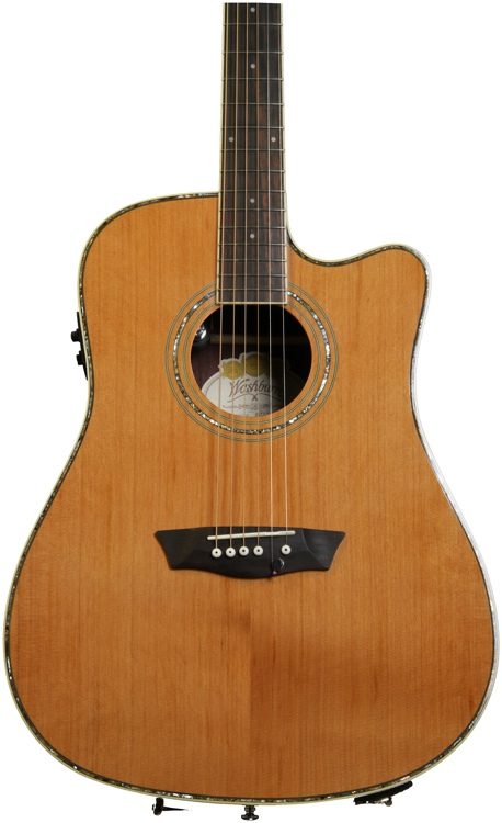 washburn wdflb26sce