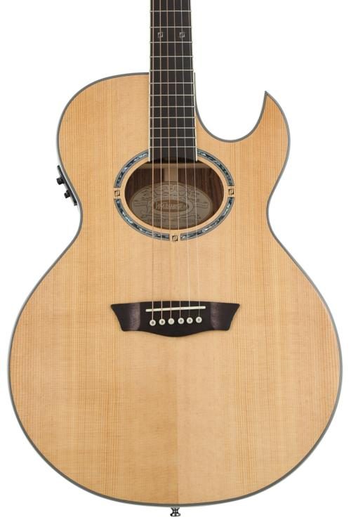 washburn ea20snb