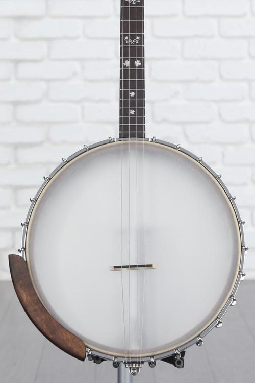 Gold Tone IT-250 Irish Tenor Banjo (vintage brown)