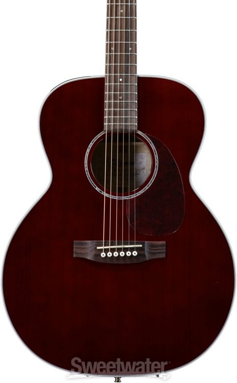 takamine f400s 12 string