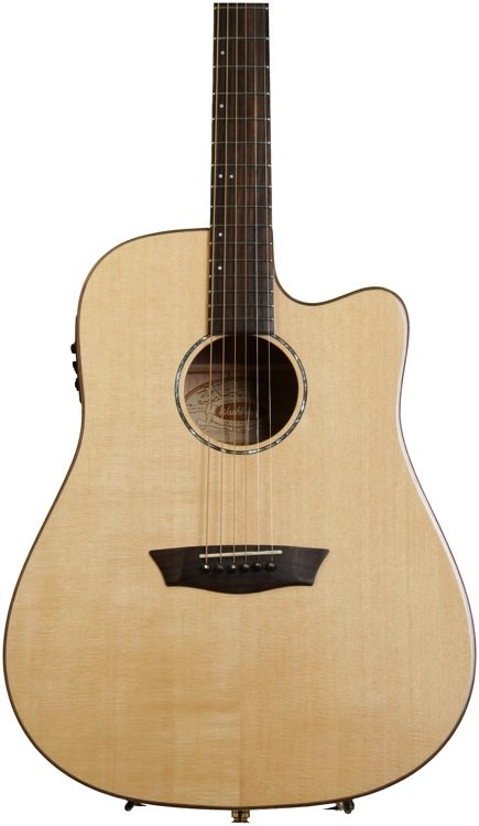 washburn wd150swce