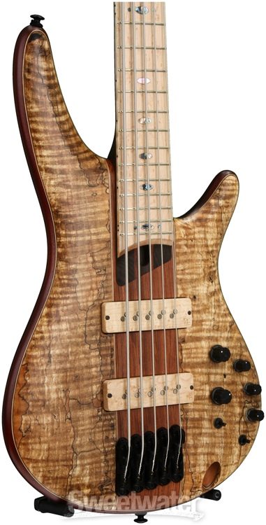 ibanez spalted maple bass