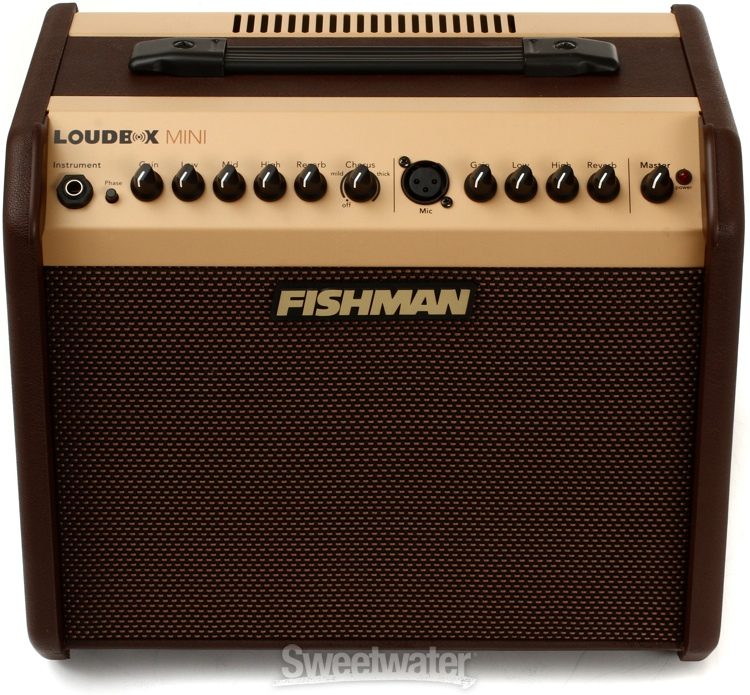 sweetwater fishman loudbox mini