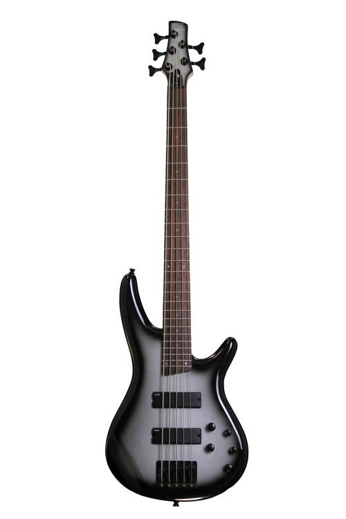 ibanez sr255