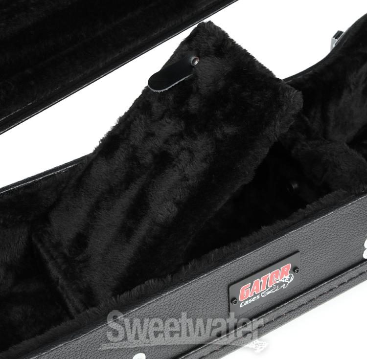 sweetwater guitar cases