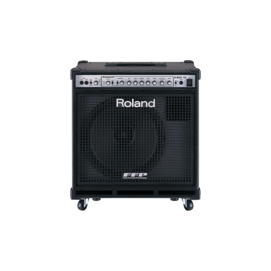 Roland D-Bass 115X | Sweetwater