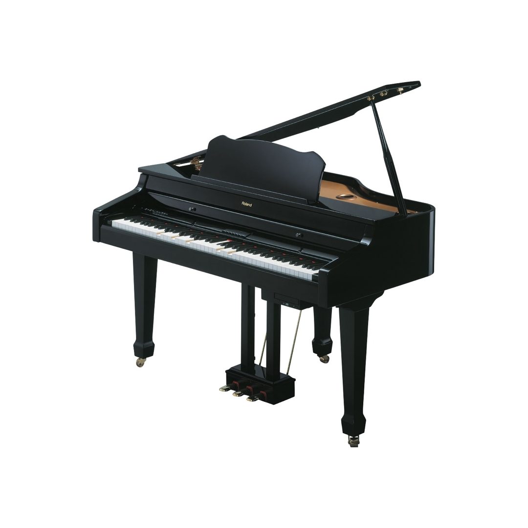 Roland RG-3 | Sweetwater