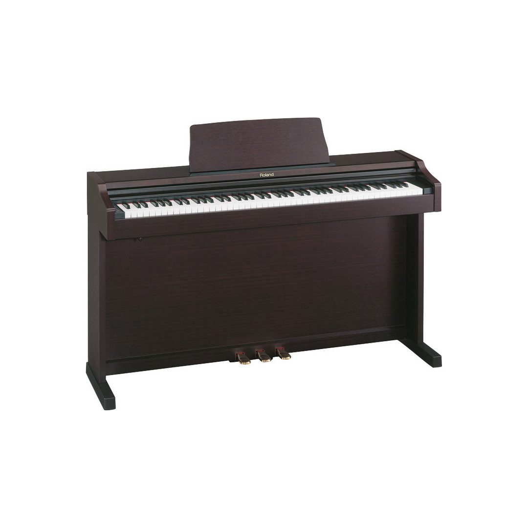 Roland RP-101 | Sweetwater