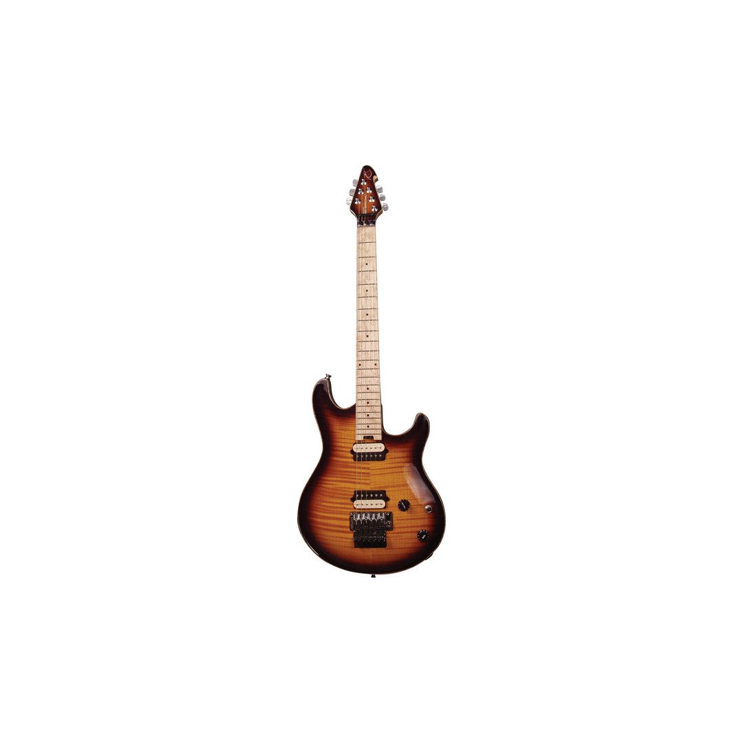 Peavey HP Special CT USA - Trans Tobacco Burst | Sweetwater