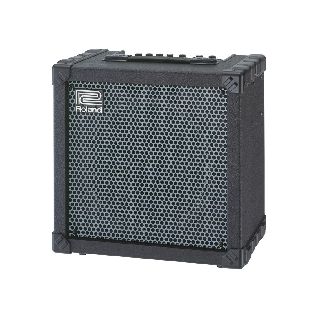 ギター ZST-10R & Roland Cube-20GX ギター ZST-10R & Roland Cube-20GX ZST-10R & Roland Cube-20GX