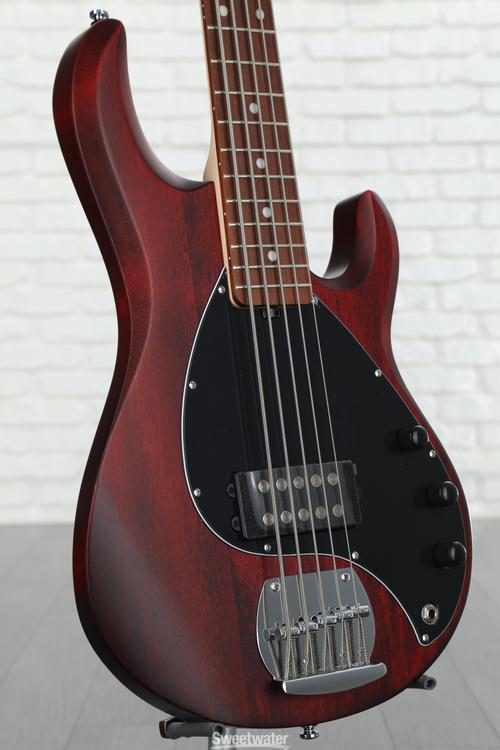 Sterling By Music Man StingRay RAY5 Bass Guitar - Walnut Satin