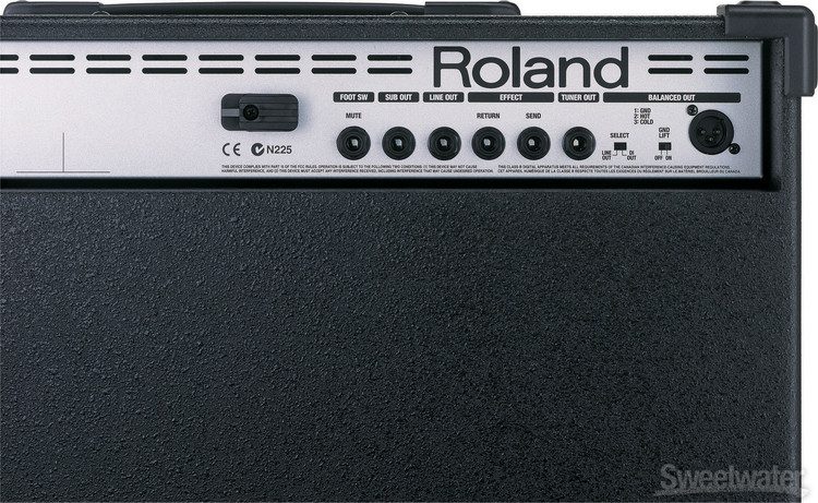Roland D-Bass 115X | Sweetwater