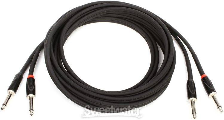 Roland RCC-15-2814 Black Series Interconnect Cable Dual 1/4-inch TS to  Dual 1/4-inch TS 15 foot Sweetwater