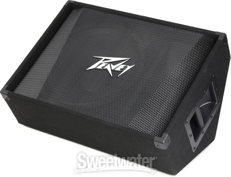 Peavey store wedge monitor