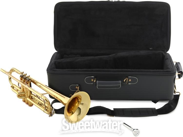Trumpet Gig Bag Amazon