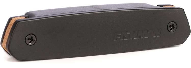Fishman Neo-D Acoustic Soundhole Humbucker Pickup | Sweetwater