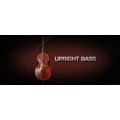 Photo of Vienna Symphonic Library Upright Bass