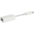 Apple Thunderbolt to FireWire Adapter | Sweetwater