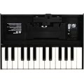 Roland K-25m Boutique Series Keyboard Unit | Sweetwater