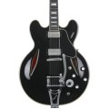 エイザル　Epiphone Shinichi Ubukata Amazon.com: Epiphone EXCLUSIVE Shinichi Ubukata ES-355