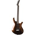 Parker DF624 Dragonfly/MaxxFly USA製 Parker Guitars DF524 Maxx Fly w/ Seymour Duncans and Fishman