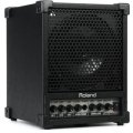 Roland CM-30 CUBE 30W 6.5 inch 2-way Portable Active Monitor