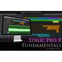 Multi Platinum Logic Fundamentals Interactive Course ?>