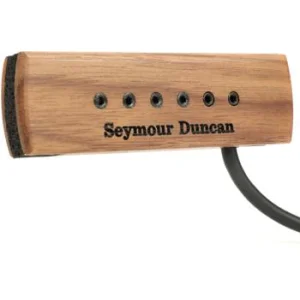 Fishman Neo-D Acoustic Soundhole Humbucker Pickup | Sweetwater Fishman Neo-D Acoustic Soundhole Humbucker Pickup | Sweetwater