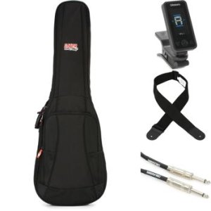 Gator 4g outlet series gig bag