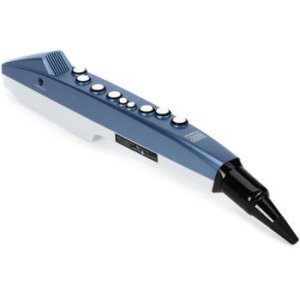 Roland Aerophone AE-01 Mini Digital Wind Instrument | Sweetwater